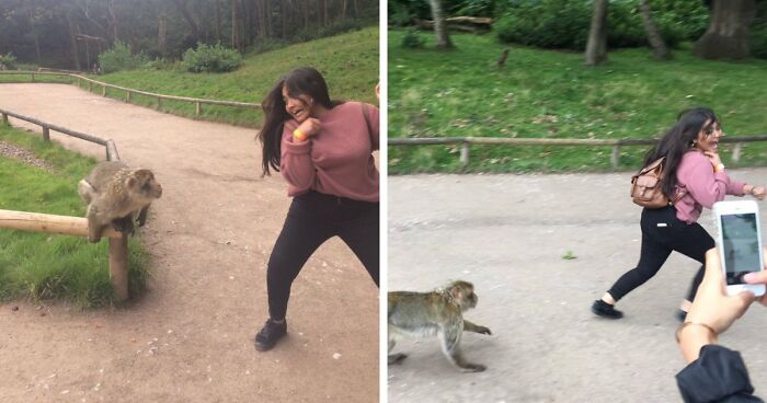 101 Hilarious Photos Taken Moments Before Disaster Struck