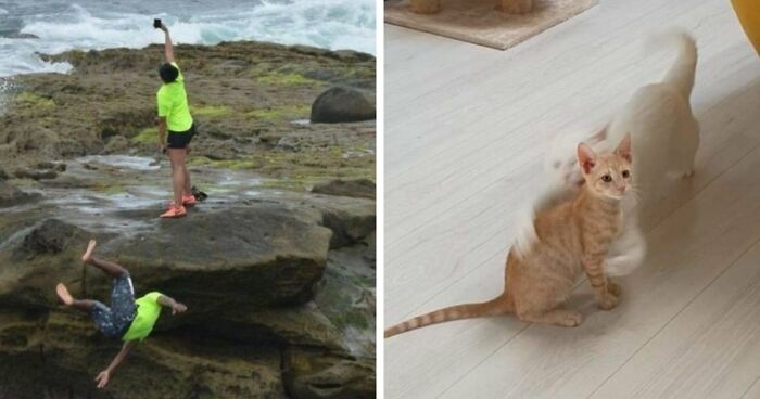 101 Hilarious Photos Taken Moments Before Disaster Struck