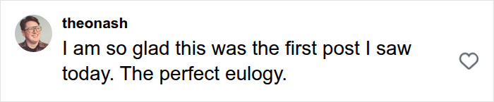 A social media comment from 'theonash' praising a post, relating to allegations about Senator Lindsey Graham. A social media comment from 'theonash' praising a post, relating to allegations about Senator Lindsey Graham.