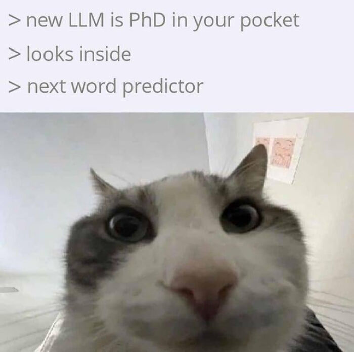 A funny meme featuring a surprised cat, humorously depicting a LLM as a next word predictor.