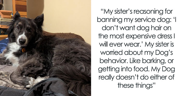 Bride Bans Anxious Sibling’s Service Dog From Wedding, Sibling Decides To Boycott The Event Instead