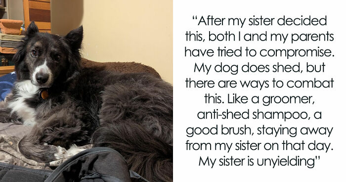 Bride Bans Anxious Sibling’s Service Dog From Wedding, Sibling Decides To Boycott The Event Instead