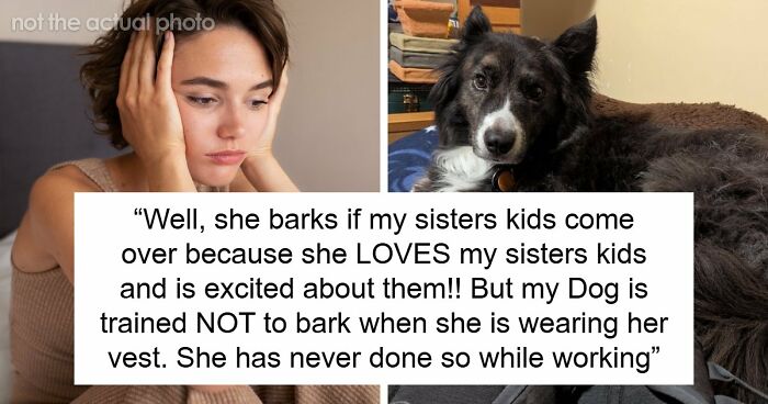 Bride Sparks Wedding Drama By Banning Sibling’s Service Dog, Backstory Reveals The Real Reason Why