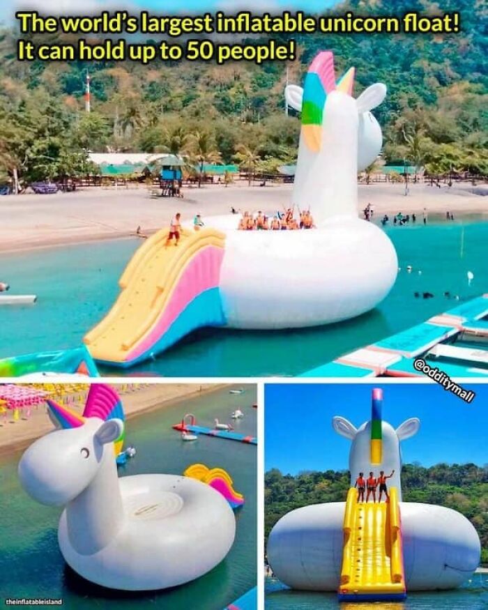An incredible size comparison of the world's largest inflatable unicorn float with many people on it, highlighting its true scale.