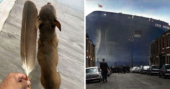 86 Size Comparisons That Might Make You Understand The True Scale Of Some Things