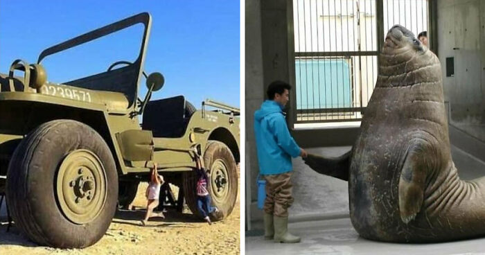 86 Size Comparisons That Might Make You Understand The True Scale Of Some Things