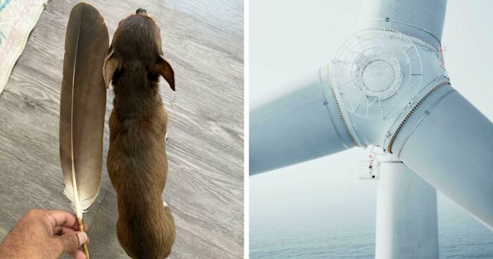 86 Size Comparisons That Might Make You Understand The True Scale Of Some Things