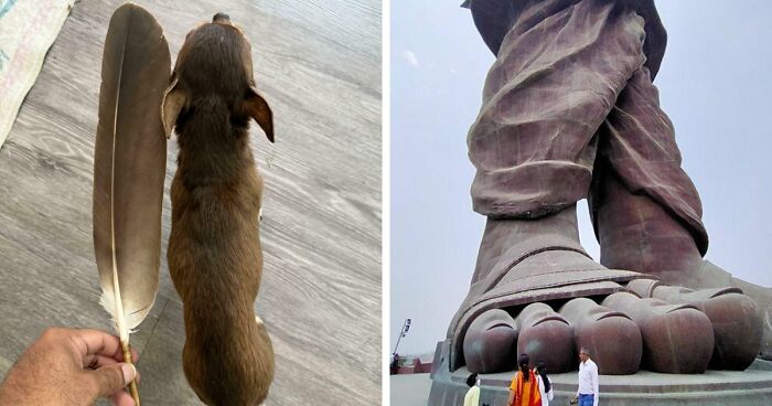 86 Size Comparisons That Might Make You Understand The True Scale Of Some Things