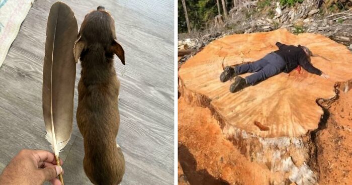 86 Size Comparisons That Might Make You Understand The True Scale Of Some Things