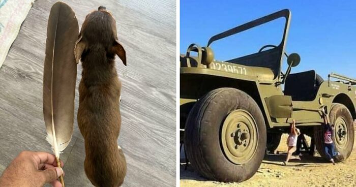 86 Size Comparisons That Might Make You Understand The True Scale Of Some Things
