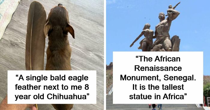 86 Size Comparisons That Might Make You Understand The True Scale Of Some Things