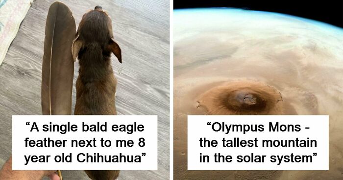 86 Size Comparisons That Might Make You Understand The True Scale Of Some Things