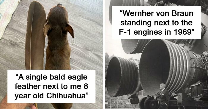 86 Size Comparisons That Might Make You Understand The True Scale Of Some Things