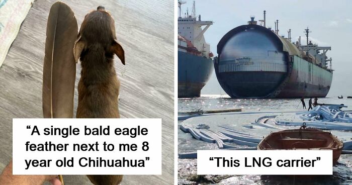 86 Size Comparisons That Might Make You Understand The True Scale Of Some Things