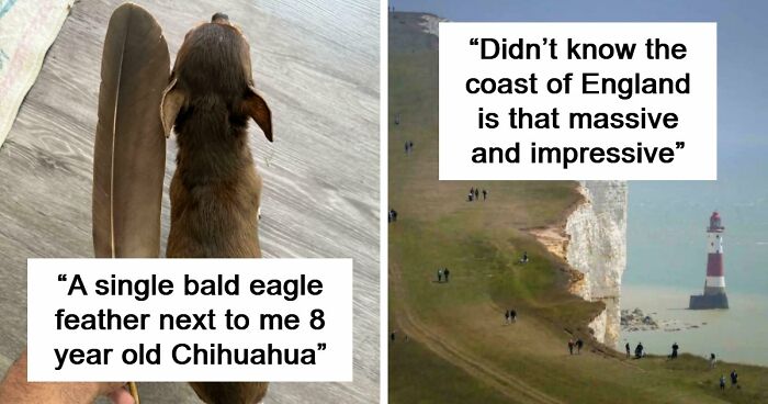 86 Size Comparisons That Might Make You Understand The True Scale Of Some Things