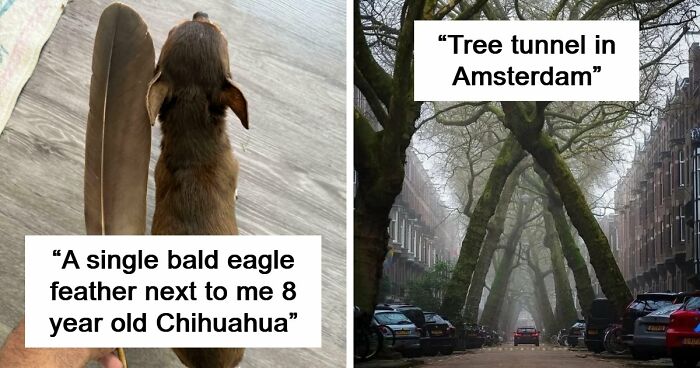86 Size Comparisons That Might Make You Understand The True Scale Of Some Things