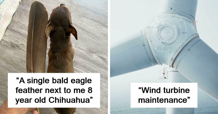 86 Size Comparisons That Might Make You Understand The True Scale Of Some Things