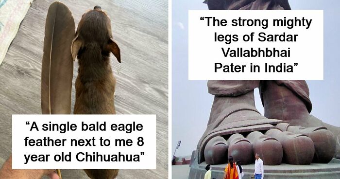 86 Size Comparisons That Might Make You Understand The True Scale Of Some Things