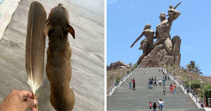 86 Size Comparisons That Might Make You Understand The True Scale Of Some Things