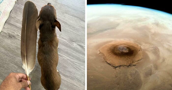 86 Size Comparisons That Might Make You Understand The True Scale Of Some Things