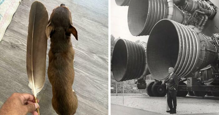 86 Size Comparisons That Might Make You Understand The True Scale Of Some Things