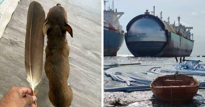 86 Size Comparisons That Might Make You Understand The True Scale Of Some Things