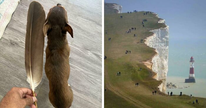 86 Size Comparisons That Might Make You Understand The True Scale Of Some Things