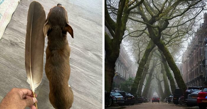 86 Size Comparisons That Might Make You Understand The True Scale Of Some Things