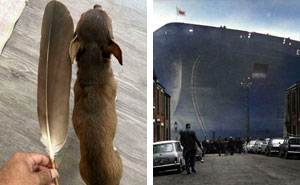 86 Size Comparisons That Might Make You Understand The True Scale Of Some Things