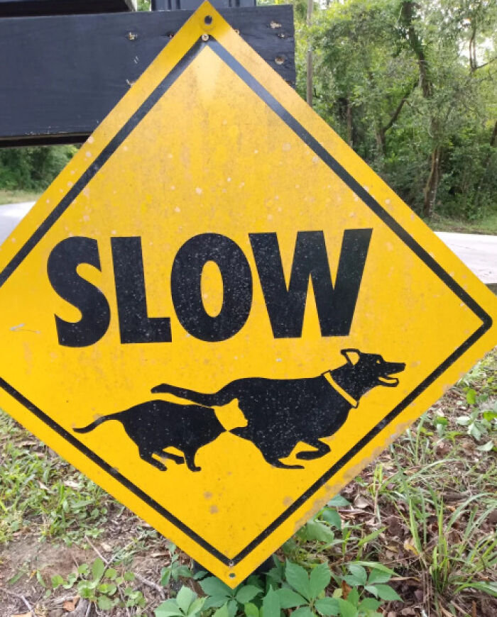 A yellow diamond-shaped sign with the word SLOW and two dogs in an unfortunate position, an example of designers failing.