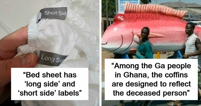 38 Times Designers Understood The Assignment And Created Something Actually Useful (New Pics)