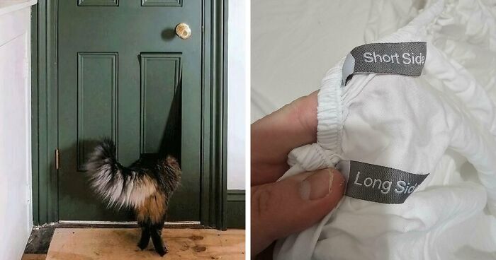 38 Times Designers Understood The Assignment And Created Something Actually Useful (New Pics)