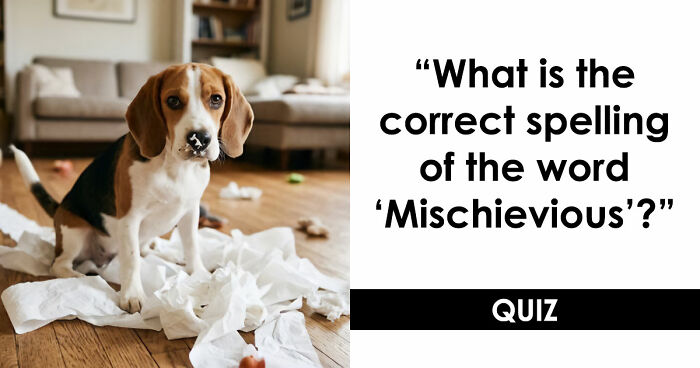“Do You Have Bee Brains?”: Put Your Spelling Skills To The Ultimate Test In These 19 Questions