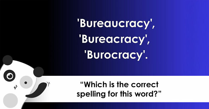“Do You Have Bee Brains?”: Put Your Spelling Skills To The Ultimate Test In These 19 Questions