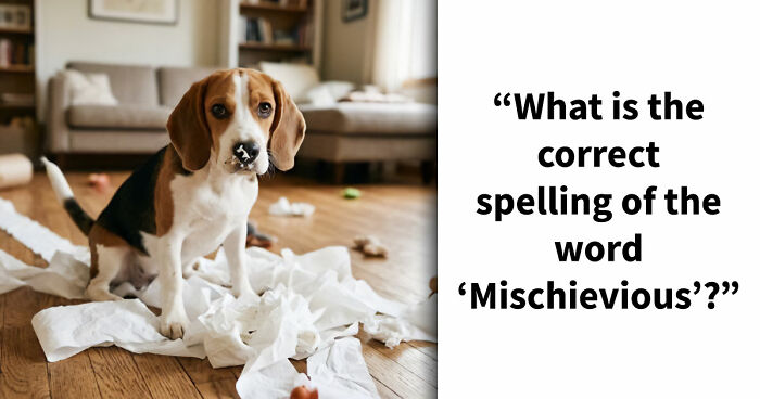 “Do You Have Bee Brains?”: Put Your Spelling Skills To The Ultimate Test In These 19 Questions