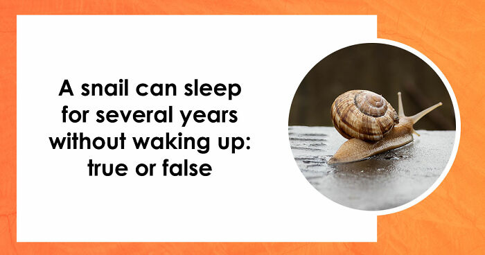 If You Can Tell Apart The Real From The Fake In All 21 Questions, You’re Smarter Than You Think