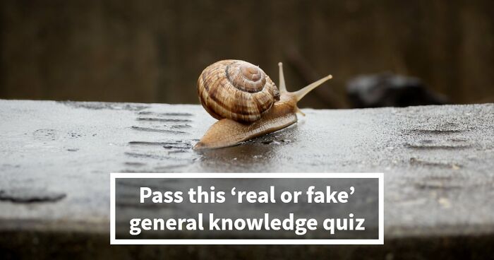 If You Can Tell Apart The Real From The Fake In All 21 Questions, You’re Smarter Than You Think