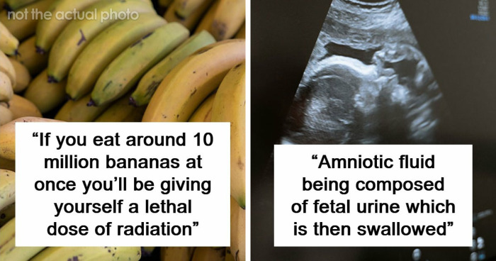 “Blew My Frickin’ Mind”: 46 Facts About The Human Body That Impressed Medical Students