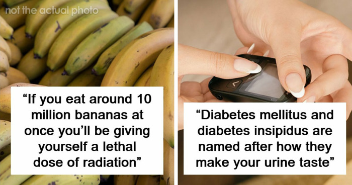 “Blew My Frickin’ Mind”: 46 Facts About The Human Body That Impressed Medical Students