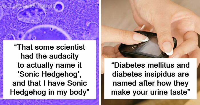 “Blew My Frickin’ Mind”: 46 Facts About The Human Body That Impressed Medical Students