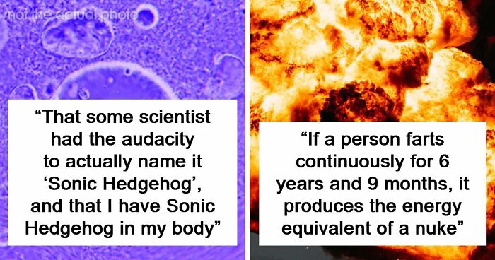 “Blew My Frickin’ Mind”: 46 Facts About The Human Body That Impressed Medical Students