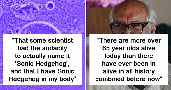 “Blew My Frickin’ Mind”: 46 Facts About The Human Body That Impressed Medical Students