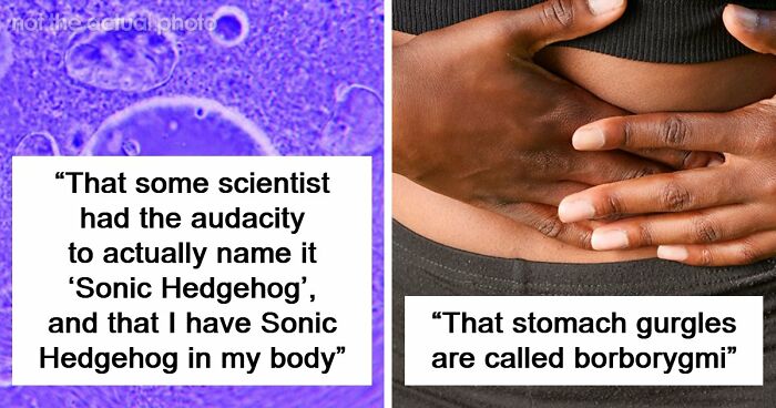 “Blew My Frickin’ Mind”: 46 Facts About The Human Body That Impressed Medical Students