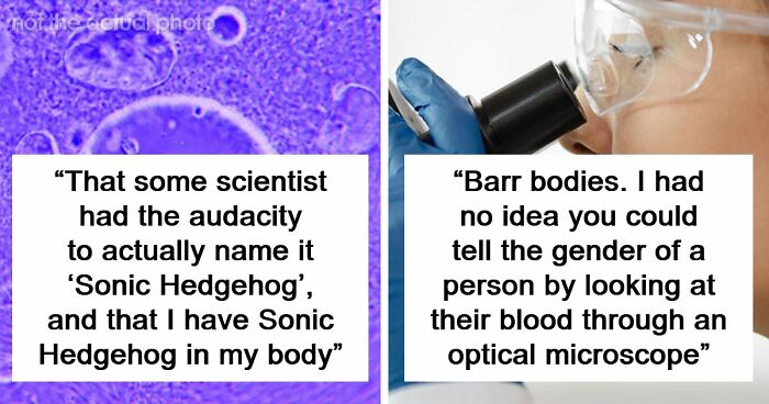 “Blew My Frickin’ Mind”: 46 Facts About The Human Body That Impressed Medical Students