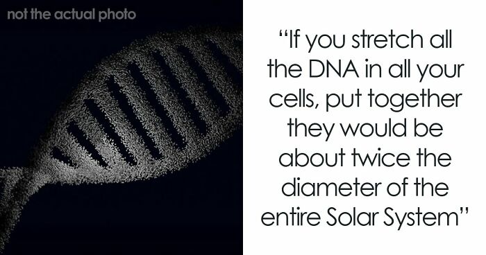“Blew My Frickin’ Mind”: 46 Facts About The Human Body That Impressed Medical Students