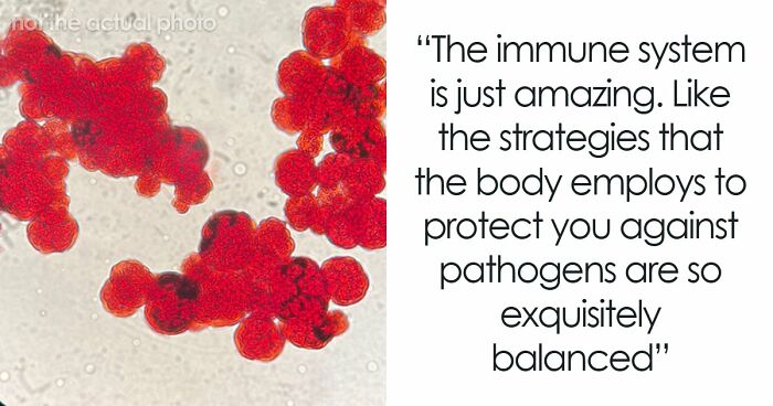 “Blew My Frickin’ Mind”: 46 Facts About The Human Body That Impressed Medical Students