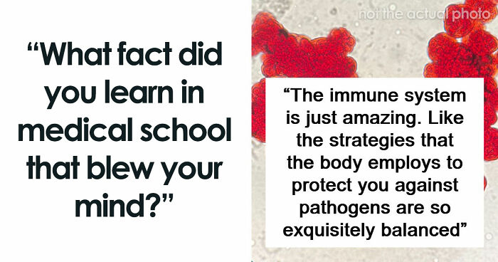 “Blew My Frickin’ Mind”: 46 Facts About The Human Body That Impressed Medical Students