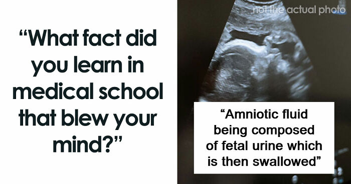 “Blew My Frickin’ Mind”: 46 Facts About The Human Body That Impressed Medical Students