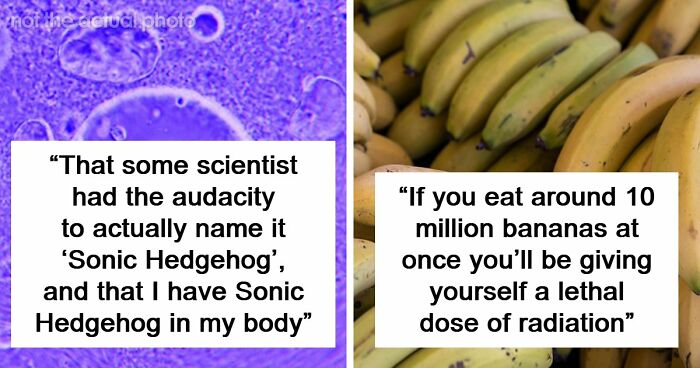 “Blew My Frickin’ Mind”: 46 Facts About The Human Body That Impressed Medical Students