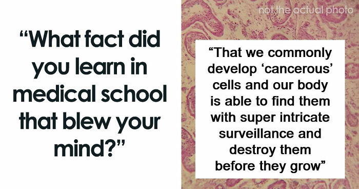 “Blew My Frickin’ Mind”: 46 Facts About The Human Body That Impressed Medical Students